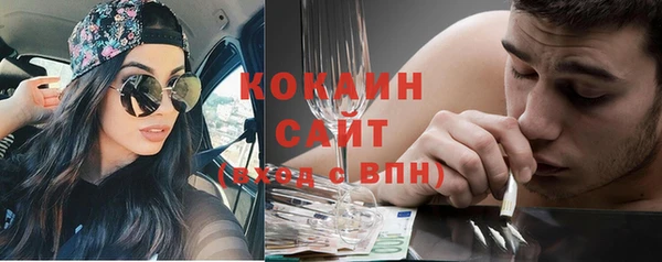 прущие грибы Абинск