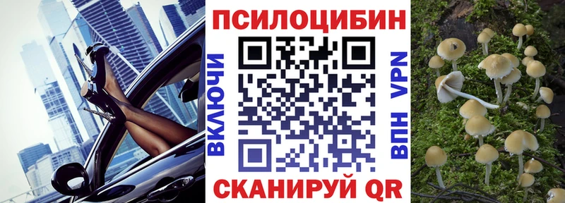 Псилоцибиновые грибы ЛСД  MEGA зеркало  Черкесск 