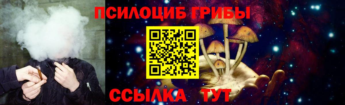 Галлюциногенные грибы MAGIC MUSHROOMS  закладка  Черкесск  Вход с VPN 